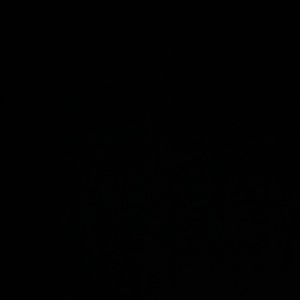 Meet your Posher, Hunter